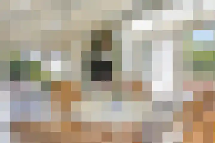 Hezelaar 35 Gemert thumbnail 36