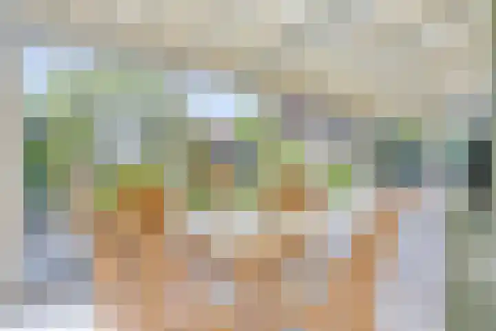 Hezelaar 35 Gemert thumbnail 37