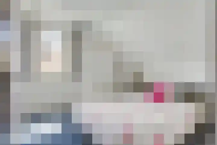 Hezelaar 35 Gemert thumbnail 41