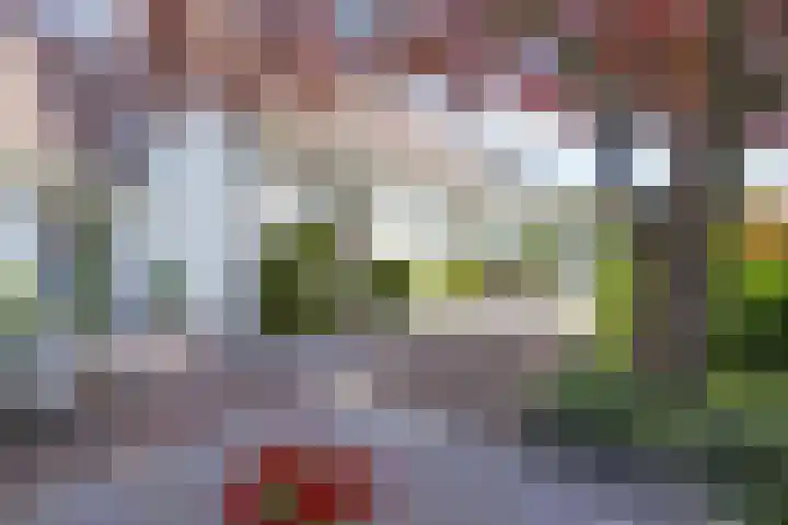 Hezelaar 35 Gemert thumbnail 5