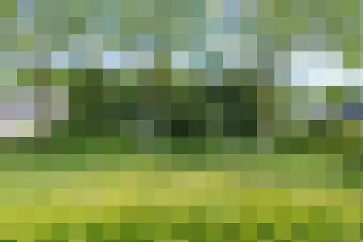 Hezelaar 35 Gemert thumbnail 52