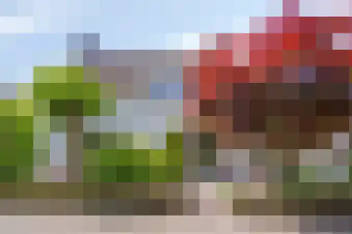 Hezelaar 35 Gemert thumbnail 60