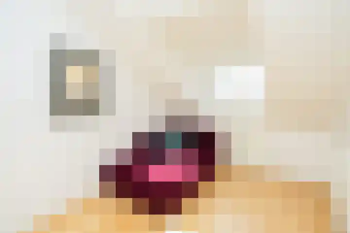 Hezelstraat 17 Ooij thumbnail 17