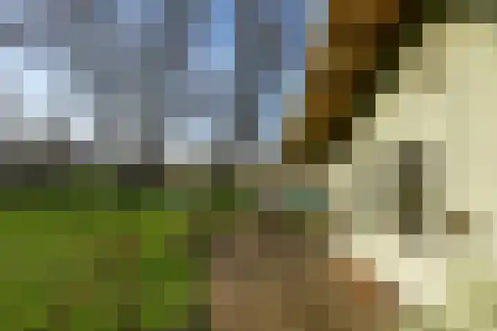 Hezelstraat 17 Ooij thumbnail 33