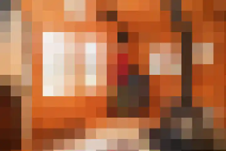 Hezelstraat 17 Ooij thumbnail 35
