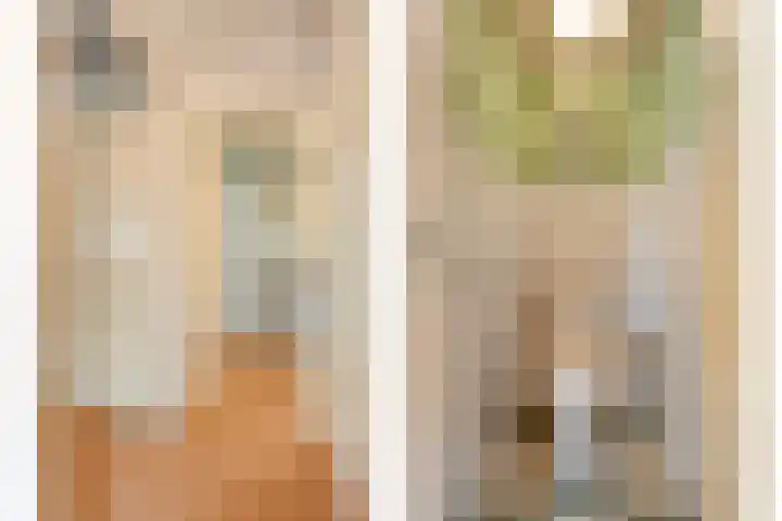 Hezenes 31 Diever thumbnail 13