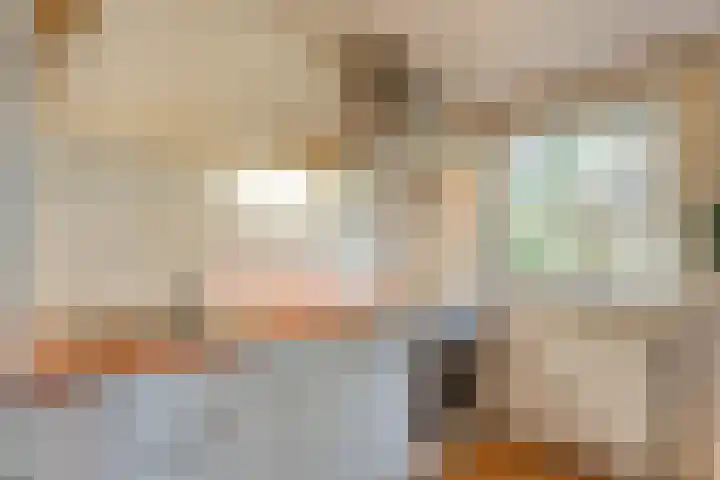 Hezenes 31 Diever thumbnail 16
