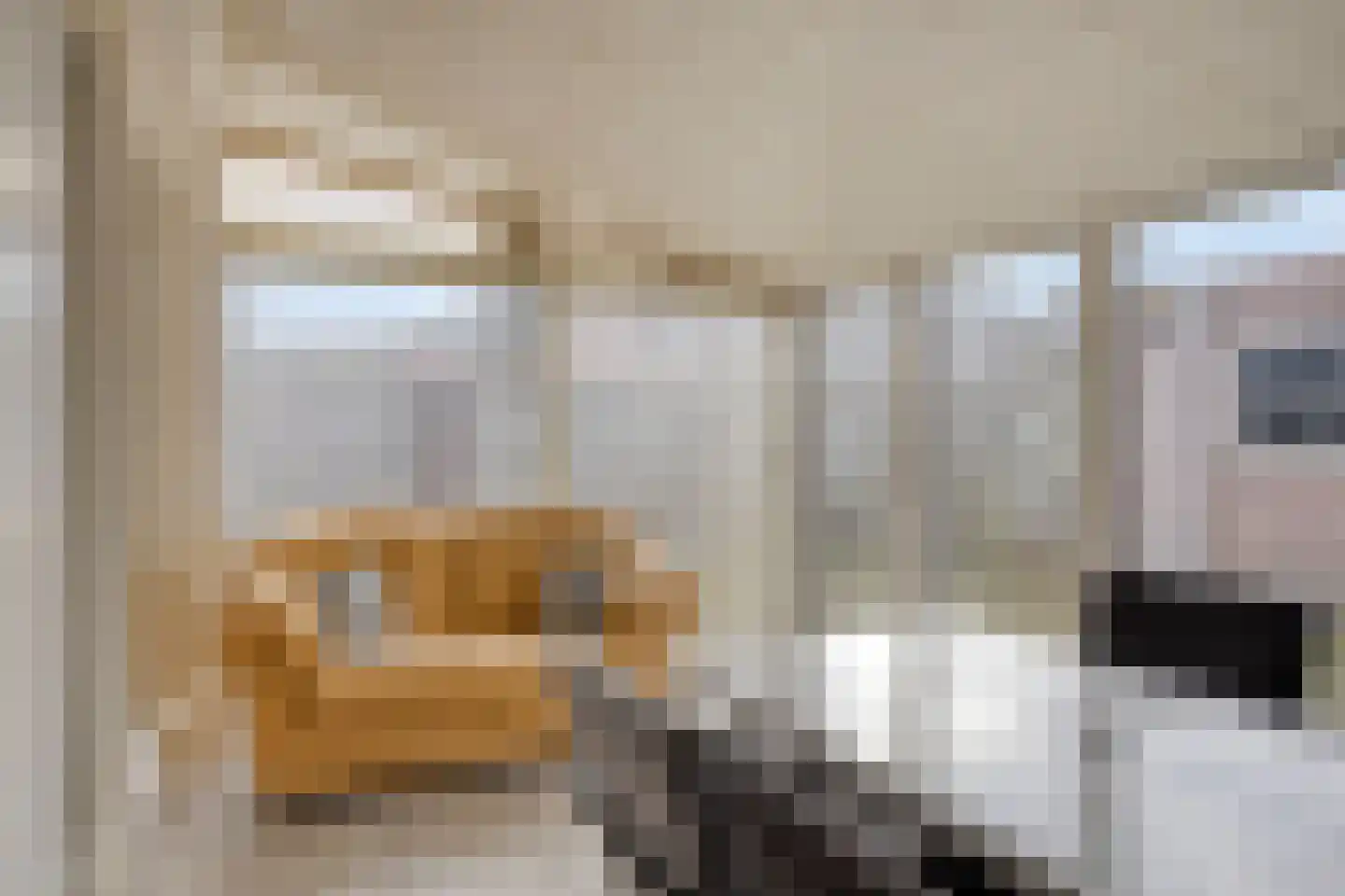 Hezenes 31 Diever thumbnail 28