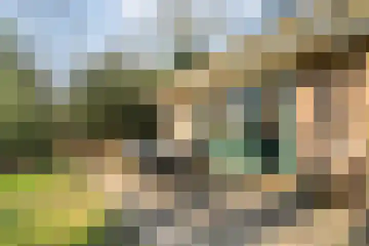 Hezenes 31 Diever thumbnail 30