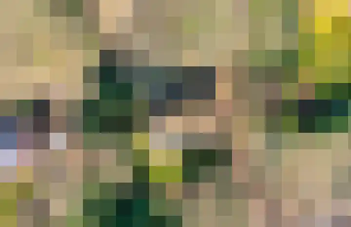 Hezenes 31 Diever thumbnail 32