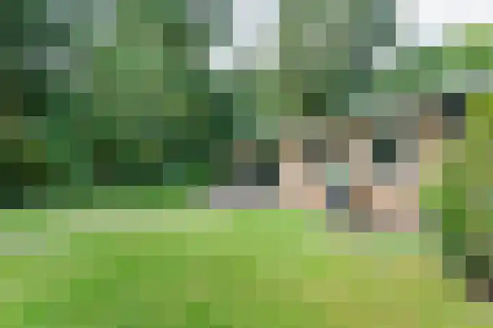 Hezenes 9 Diever thumbnail 10