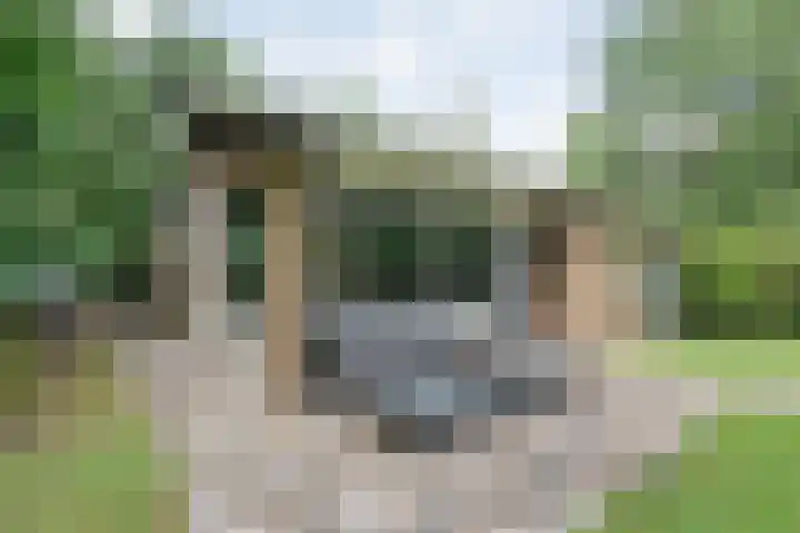 Hezenes 9 Diever thumbnail 11