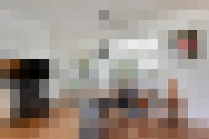 Hezenes 9 Diever thumbnail 19