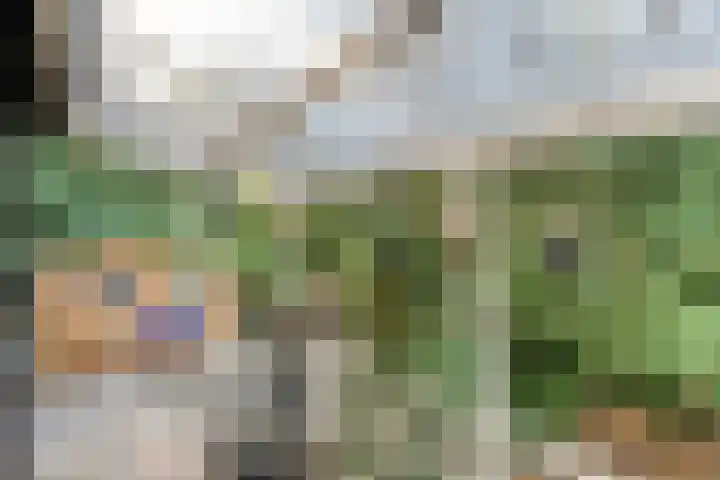 Hezenes 9 Diever thumbnail 27