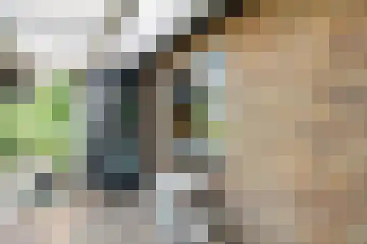 Hezenes 9 Diever thumbnail 28