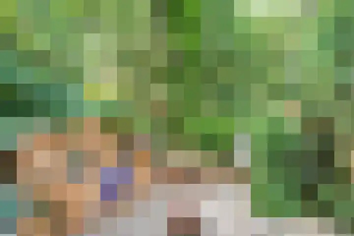 Hezenes 9 Diever thumbnail 29