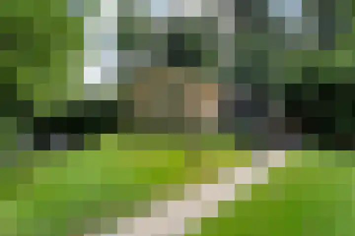 Hezenes 9 Diever foto 3