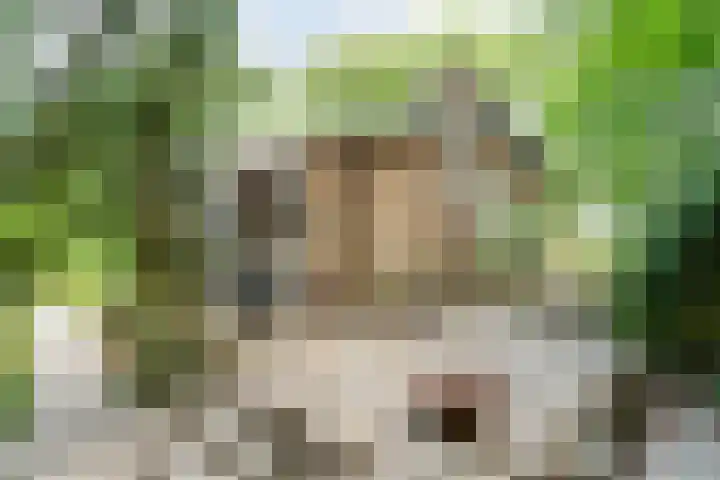 Hezenes 9 Diever thumbnail 30