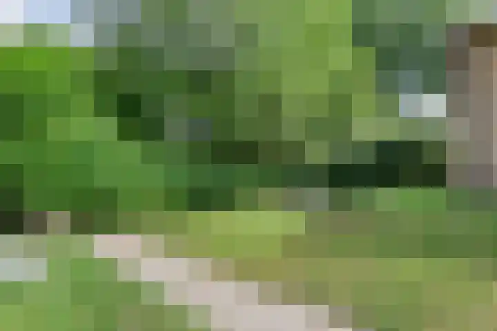 Hezenes 9 Diever thumbnail 35