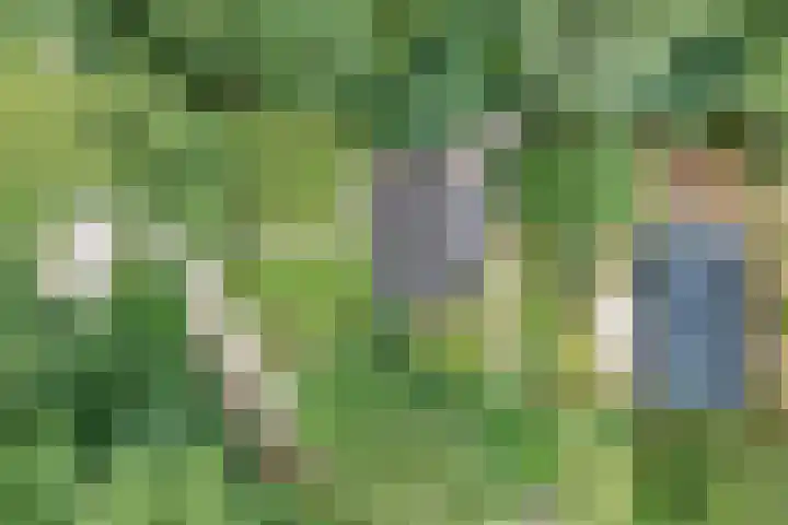 Hezenes 9 Diever thumbnail 37