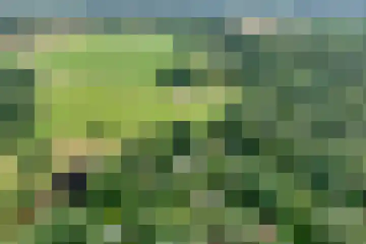 Hezenes 9 Diever thumbnail 38