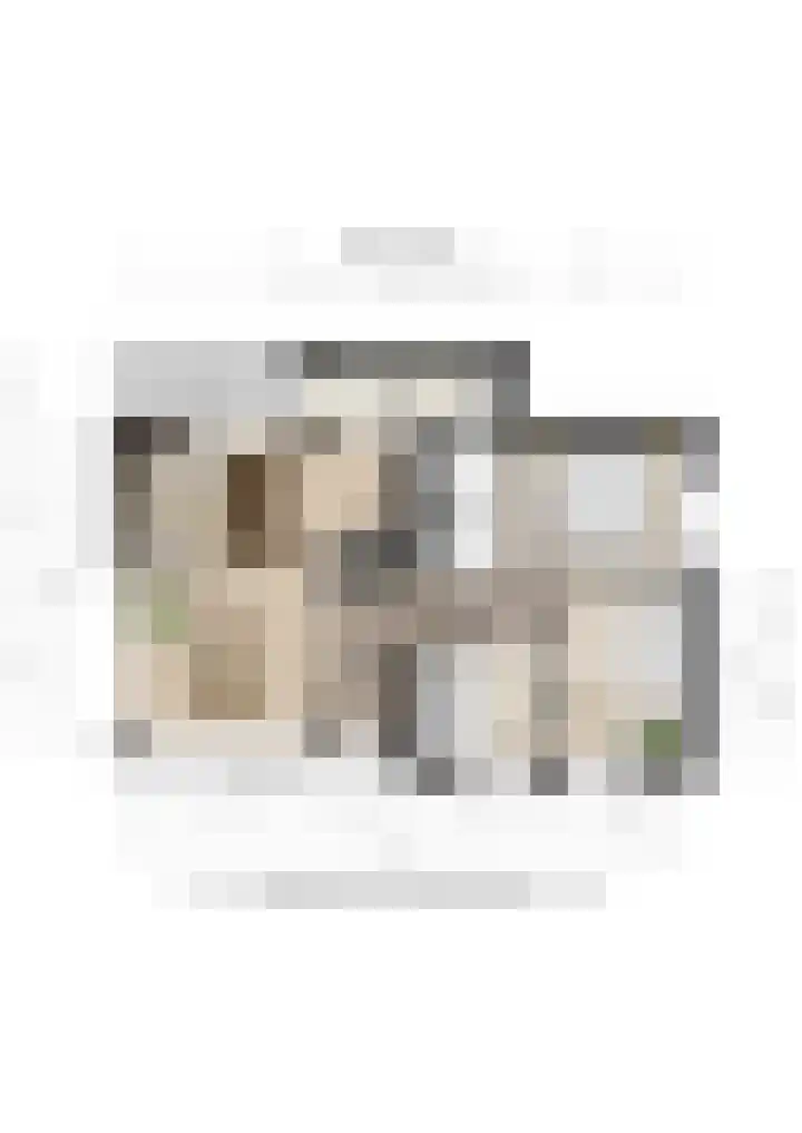 Hezenes 9 Diever thumbnail 39