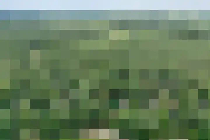 Hezenes 9 Diever thumbnail 5