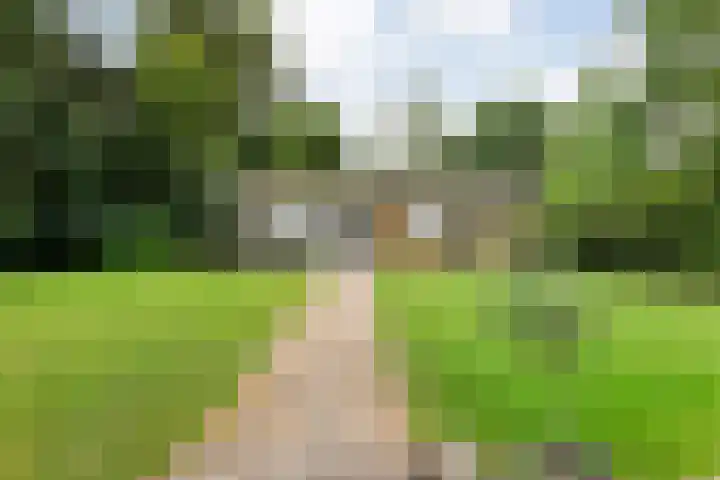 Hezenes 9 Diever thumbnail 9