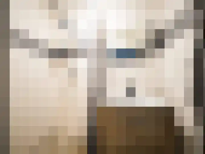 Hicksweg 65 Renkum thumbnail 16