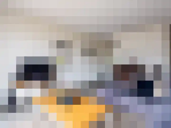 Hicksweg 65 Renkum thumbnail 7