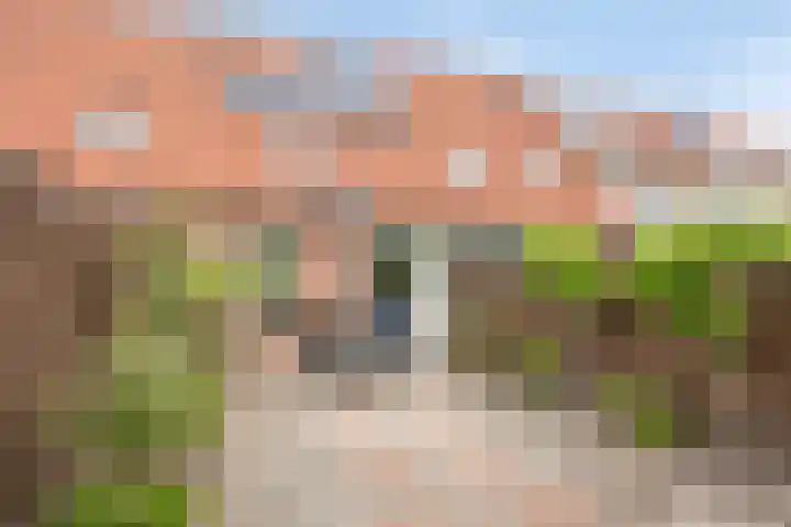 Hiddemaheerd 154 Groningen foto 3