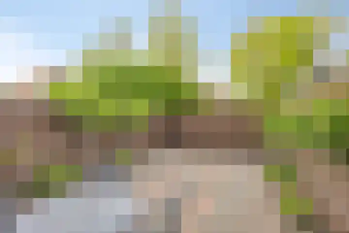 Hiddemaheerd 154 Groningen thumbnail 34