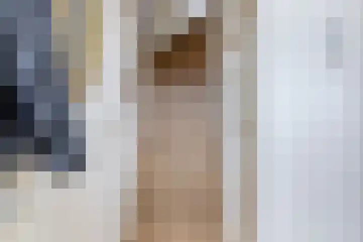 Hiddemaheerd 154 Groningen thumbnail 7