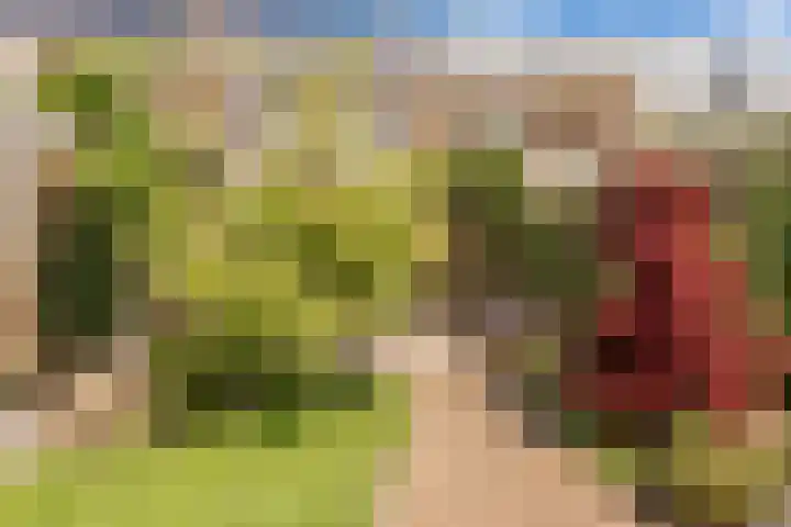 Hidsmeer 3 Culemborg thumbnail 27