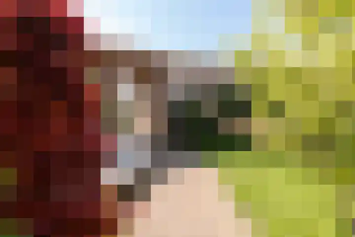 Hidsmeer 3 Culemborg thumbnail 30