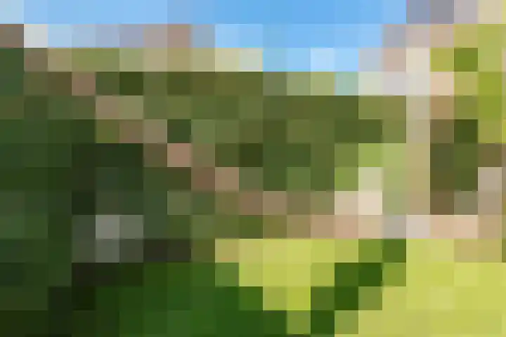 Hidsmeer 3 Culemborg thumbnail 31