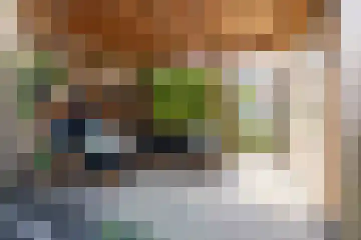 Hidsmeer 3 Culemborg thumbnail 32