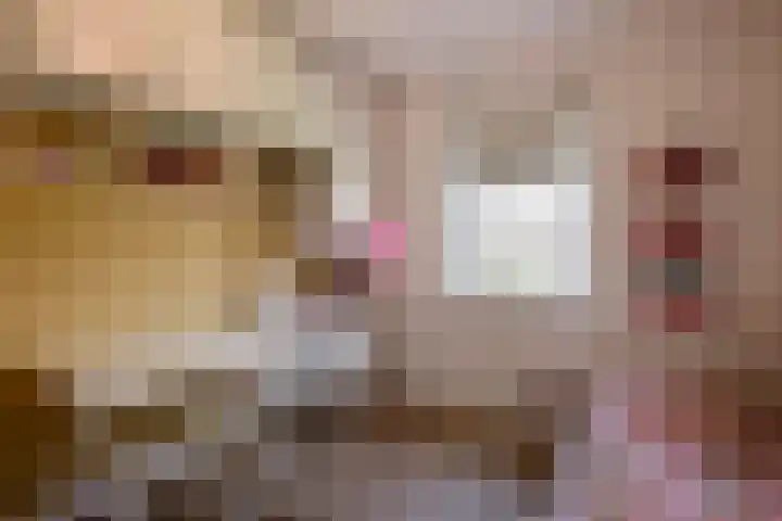 Hidsmeer 3 Culemborg thumbnail 41