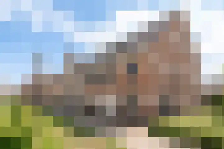 Hidsmeer 3 Culemborg thumbnail 52