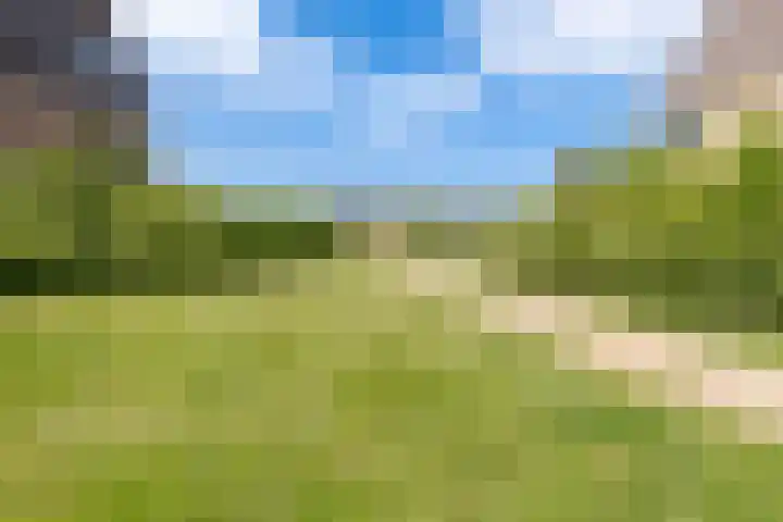 Hidsmeer 3 Culemborg thumbnail 56
