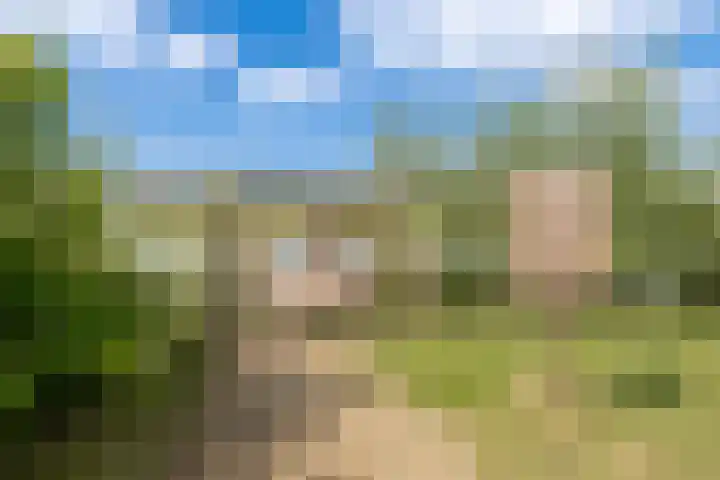 Hidsmeer 3 Culemborg thumbnail 57