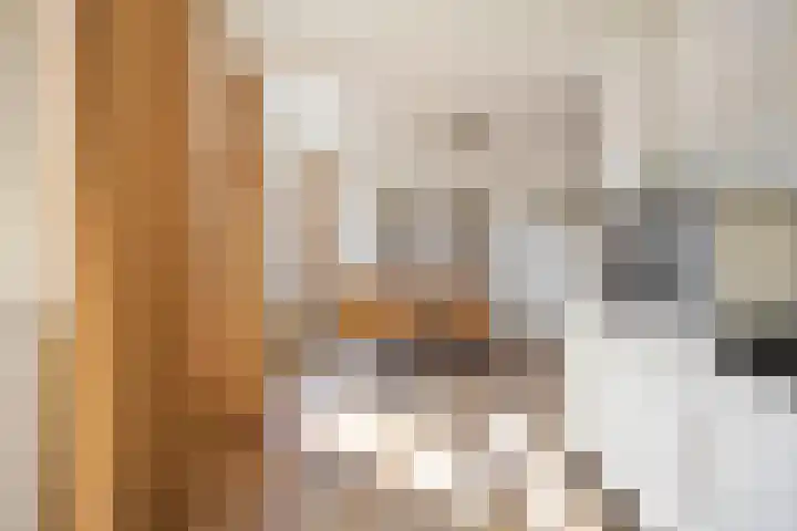 Hienkershoff 21 Dreumel thumbnail 12