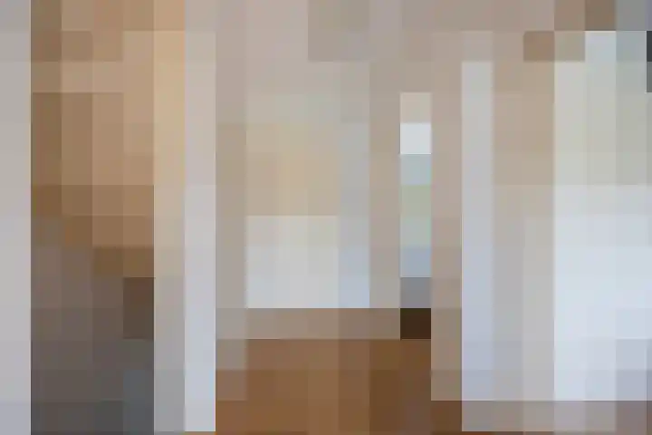 Hienkershoff 21 Dreumel thumbnail 14