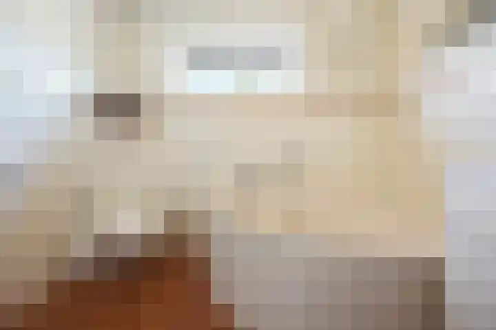 Hienkershoff 21 Dreumel thumbnail 24