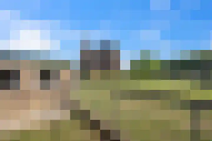 Hienkershoff 21 Dreumel thumbnail 37