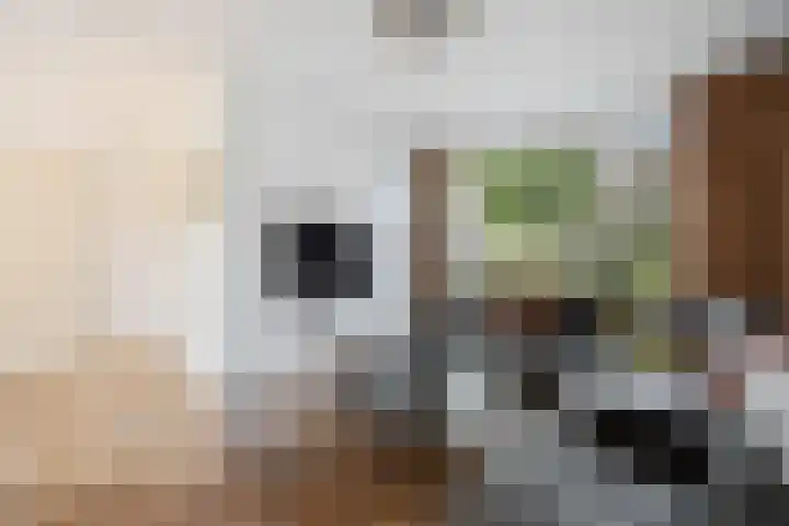 Hienkershoff 21 Dreumel thumbnail 5