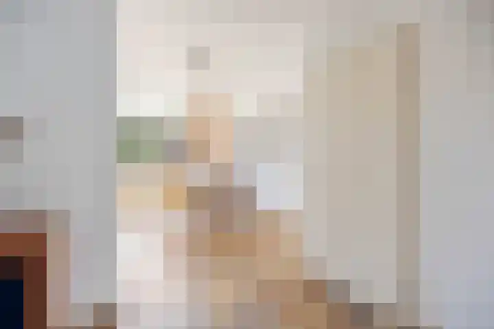 Hienkershoff 21 Dreumel thumbnail 8