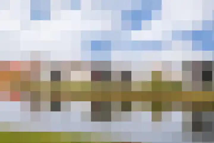 Hierdense beek 87 en Biddinghuizen