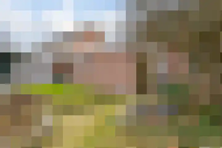 Hietkampen 42 Westerbork thumbnail 26