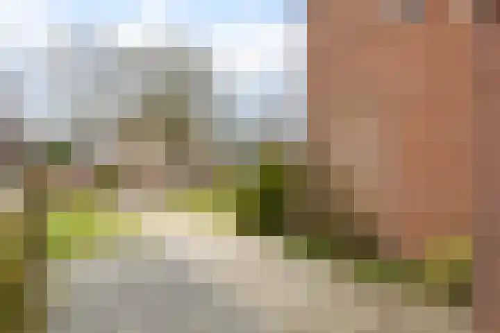 Hietkampen 42 Westerbork thumbnail 6